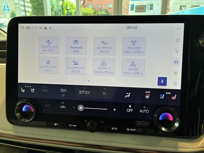 2025 Lexus LM — миниатюра 52