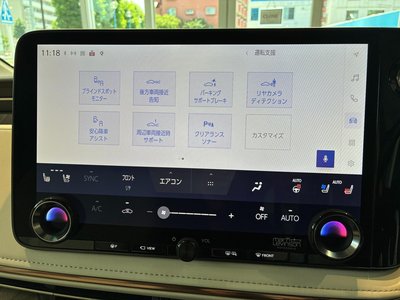 2025 Lexus LM — миниатюра 53