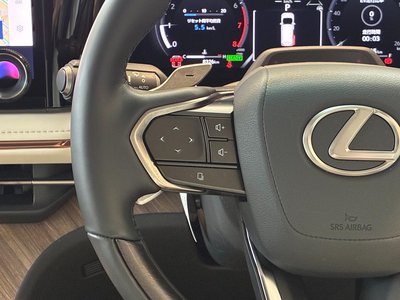 2025 Lexus LM — миниатюра 42