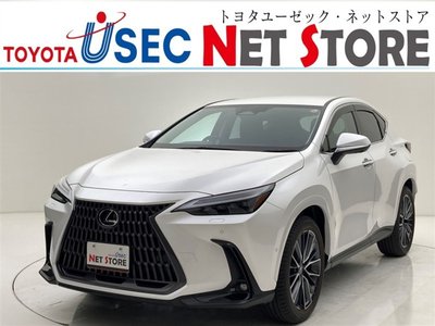 LEXUS NX - 1