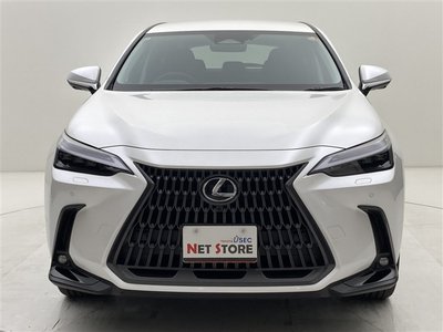 2025 Lexus NX — миниатюра 46
