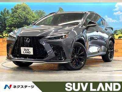 LEXUS NX - 1