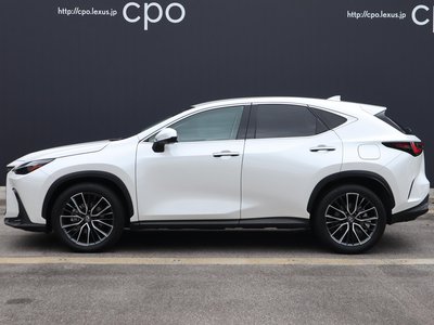 LEXUS NX - 3