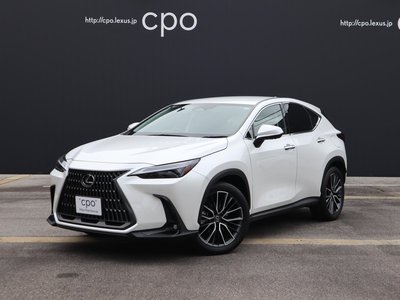 LEXUS NX - 1