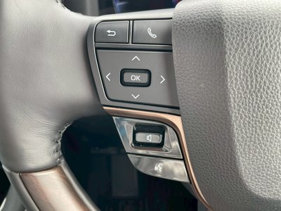 2025 TOYOTA ALPHARD thumbnail 31