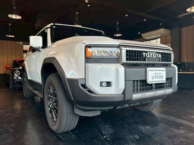 TOYOTA LAND CRUISER 250 - 6