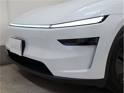 2025 Tesla MODEL Y — миниатюра 32