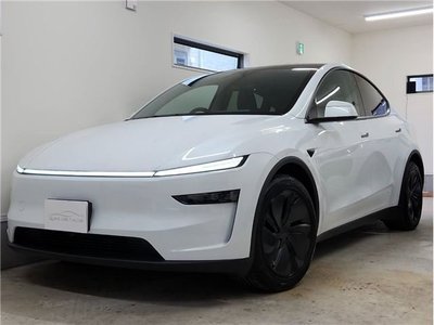 2025 Tesla MODEL Y — фото 1