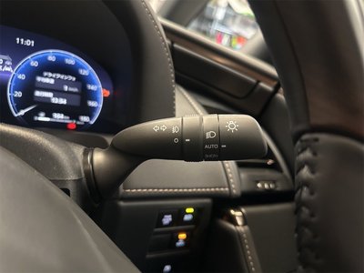 2026 TOYOTA ALPHARD 缩略图 29
