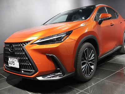 LEXUS NX - 2