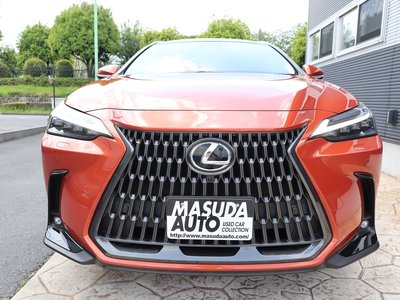 LEXUS NX - 1