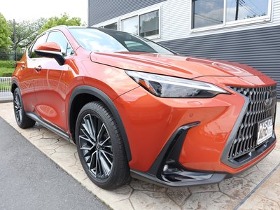 LEXUS NX - 3