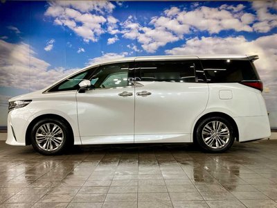 2023 Toyota ALPHARD 缩略图 20