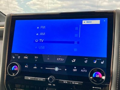 2023 Toyota ALPHARD 缩略图 41