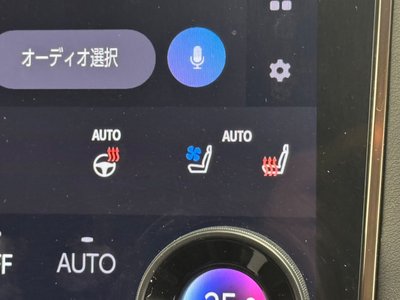 2024 Toyota VELLFIRE thumbnail 37