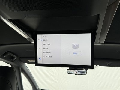 2025 TOYOTA ALPHARD 照片 8