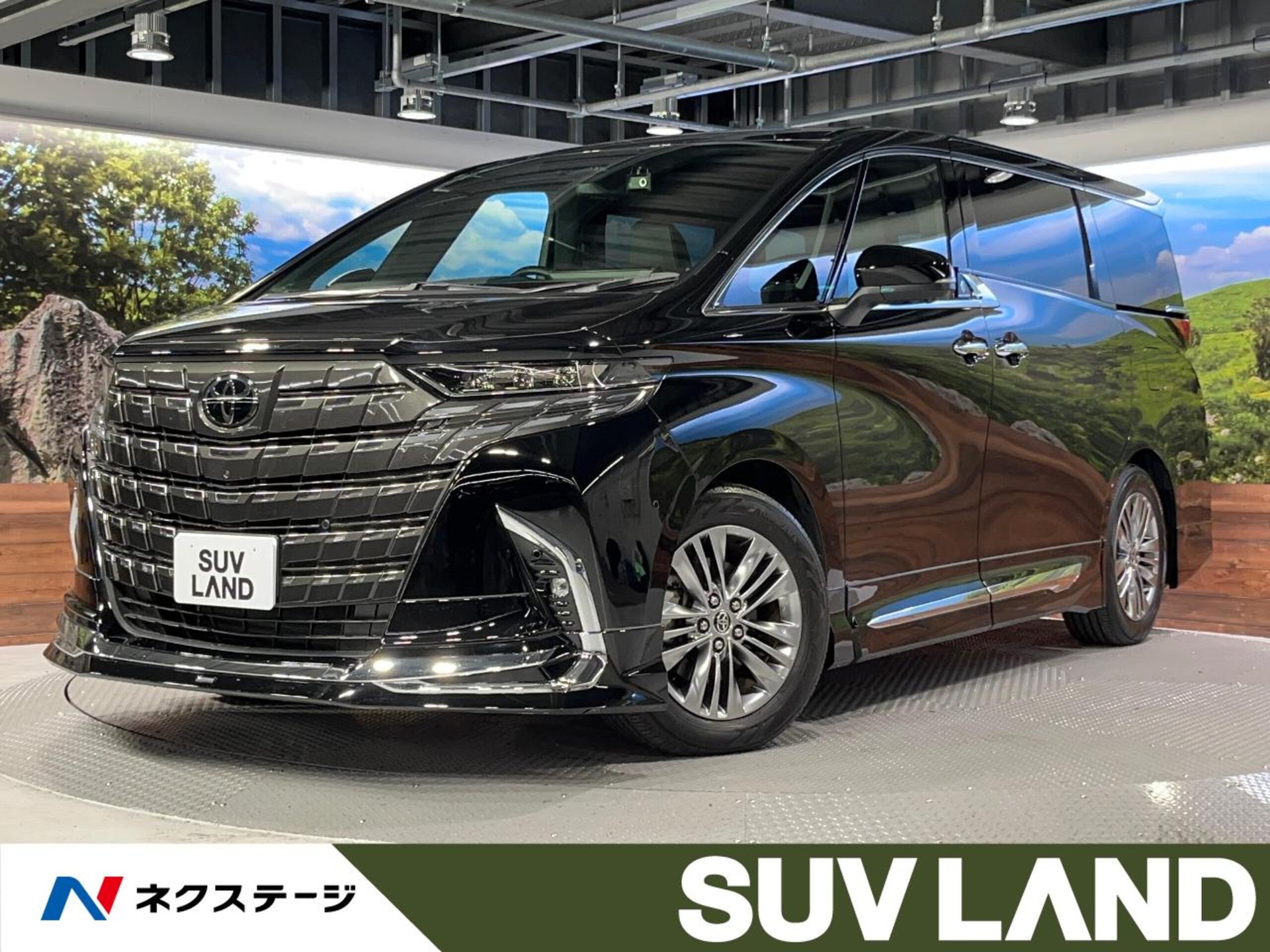 TOYOTA ALPHARD - View 1
