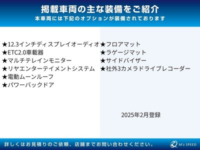 TOYOTA LAND CRUISER 300 - 2