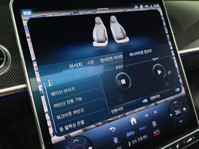 2021 Mercedes-BENZ S-CLASS — миниатюра 29