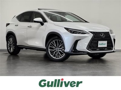 LEXUS NX - 1