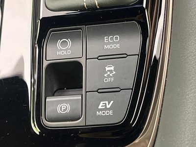2024 Toyota ALPHARD 缩略图 57