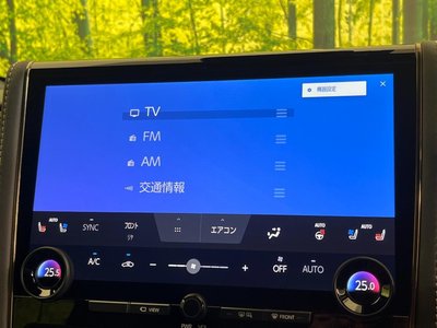 2024 Toyota ALPHARD 缩略图 65