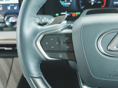 2024 Lexus LM 缩略图 22