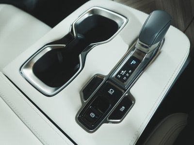 2024 Lexus LM 缩略图 30