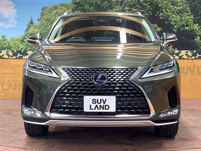 2021 Lexus RX — миниатюра 14