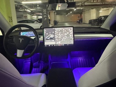 2021 Tesla MODEL Y — фото 6