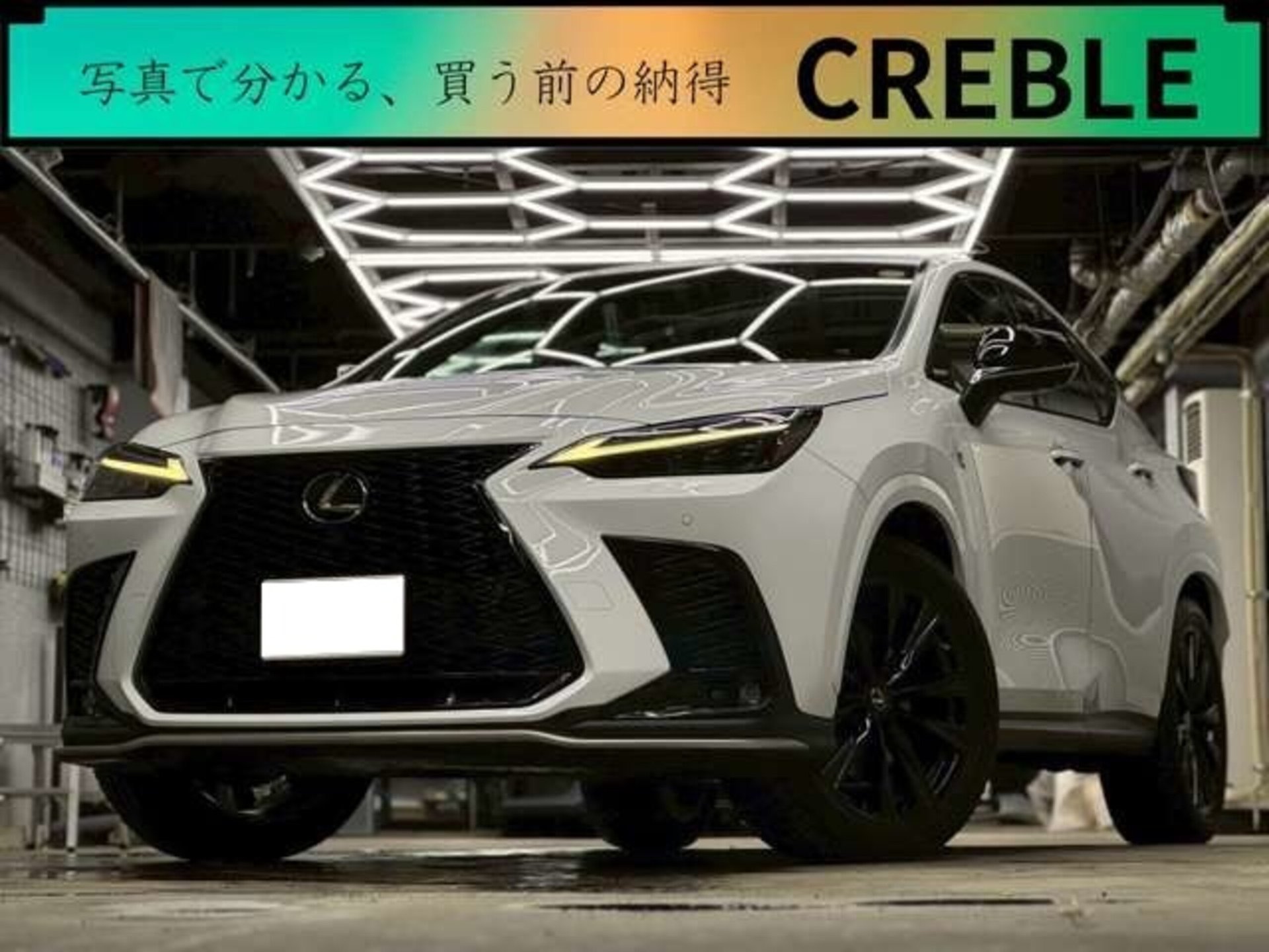 LEXUS NX - View 1