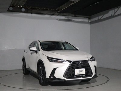 LEXUS NX - 9