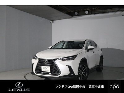 LEXUS NX - 1