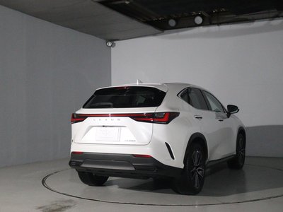 LEXUS NX - 4