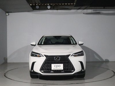 LEXUS NX - 8
