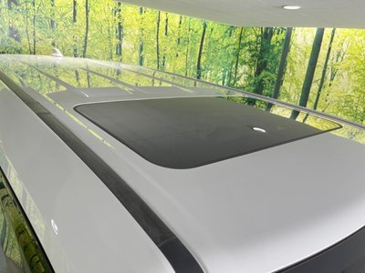 TOYOTA LAND CRUISER 250 - 3