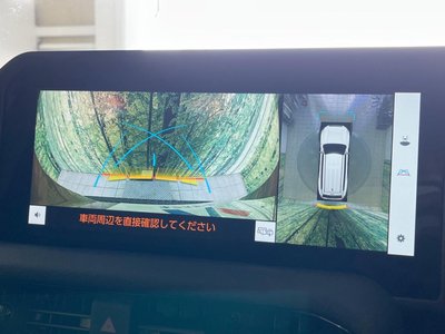 TOYOTA LAND CRUISER 250 - 5