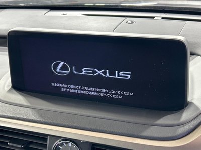 LEXUS RX - 4