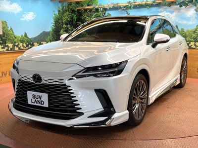 2023 Lexus RX 缩略图 60
