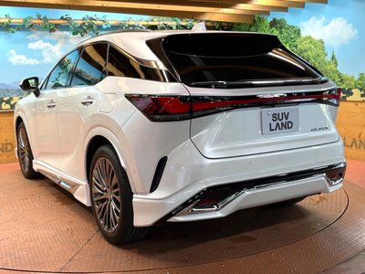 2023 Lexus RX 缩略图 63