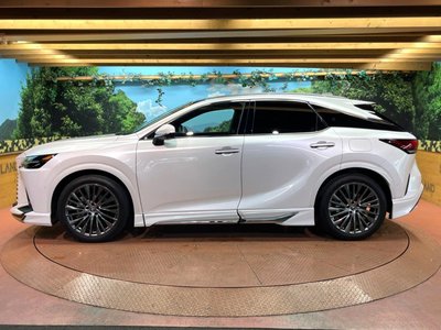 2023 Lexus RX 缩略图 59