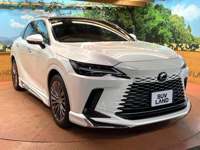 2023 Lexus RX 缩略图 16