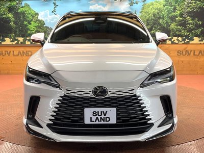 2023 Lexus RX 缩略图 14