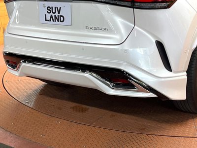 2023 Lexus RX 缩略图 62