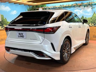2023 Lexus RX 缩略图 17