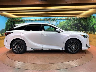 2023 Lexus RX 缩略图 61