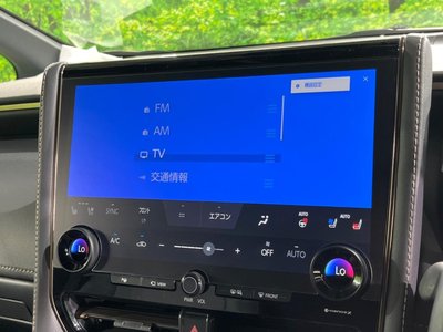 2024 TOYOTA ALPHARD 缩略图 36