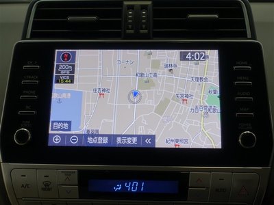 TOYOTA LAND CRUISER PRADO - 10