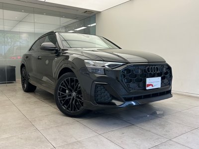 2025 AUDI Q8 照片 6