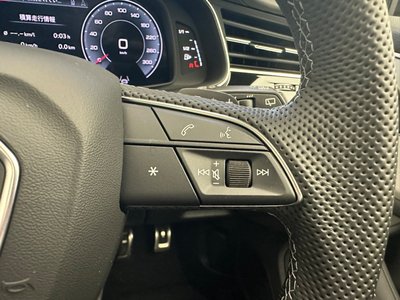 2025 AUDI Q8 缩略图 48